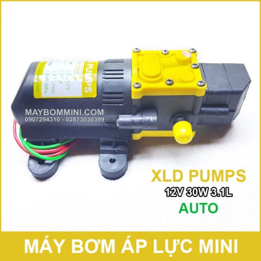 May Bom Ap Luc Mini Tu Dong 12v 30w Xld