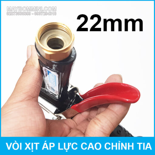 Sung Xit Ren Trong 22mm Cao Cap