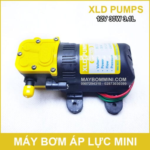 Ban Bom Nuoc Mini 12V 30W XLD