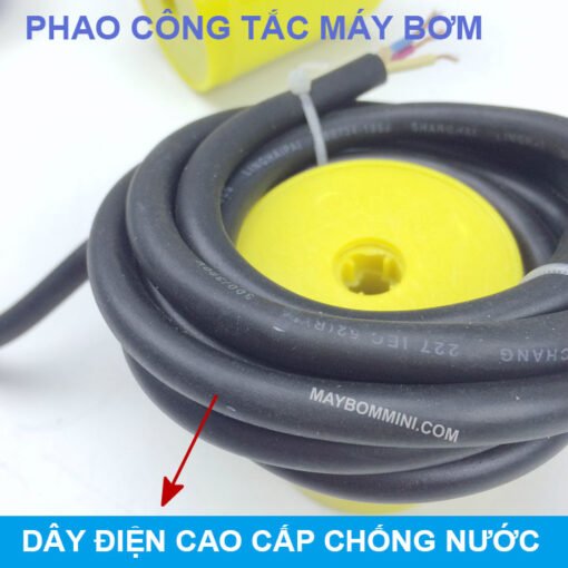 Phao Tat Mo Tu Dong Bom Nuoc.jpg