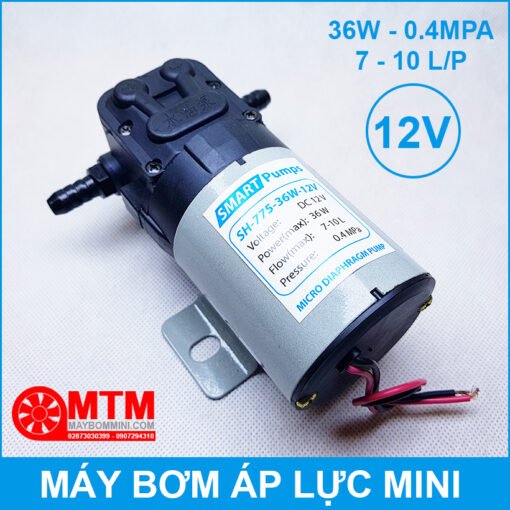 May Bom Dau 12V Ap Luc Mini