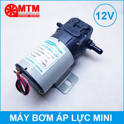 May Bom Mini 12v Ap Luc 36w 7l