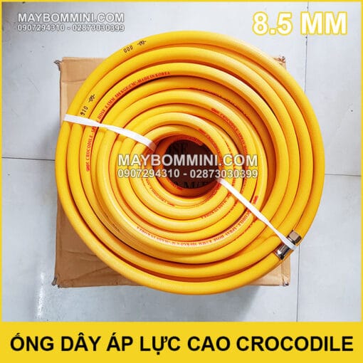 Ong Day Ap Luc Cao Crocodile 8.5mm 50 Met