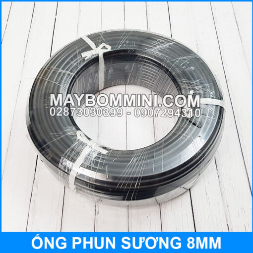 Ong Phun Suong 8mm Sieu Ben