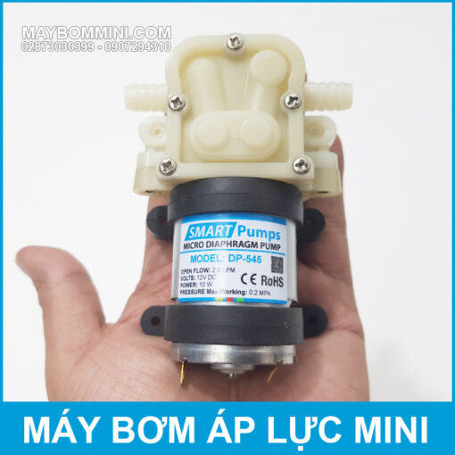 Ban May Bom Nuoc Mini Ap Luc 12V DP 545