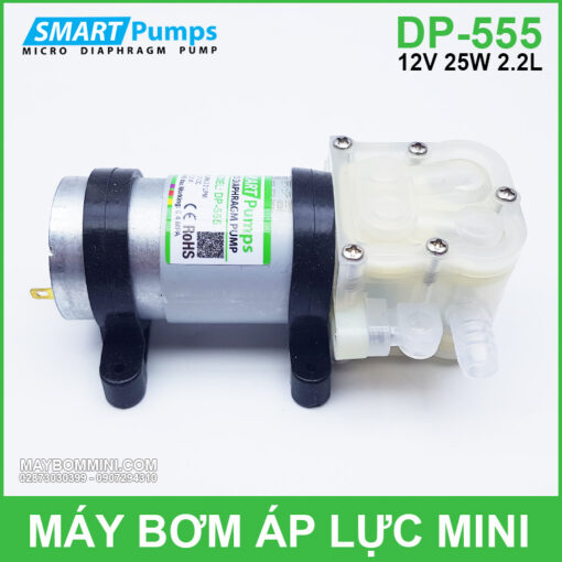 May Bom 12v Gia Re DP 555