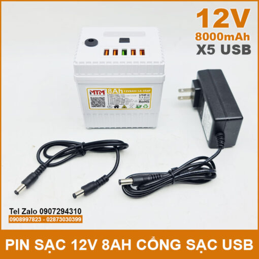 Pin 12v 8ah Co Cong Sac Usb Kem Sac