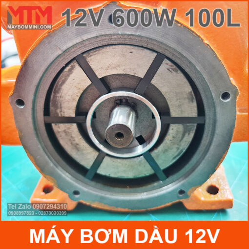 Dau Bom May Xang Dau 12v 600w